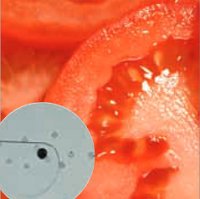 Disco di taglio con lame ricurve mm 0-10